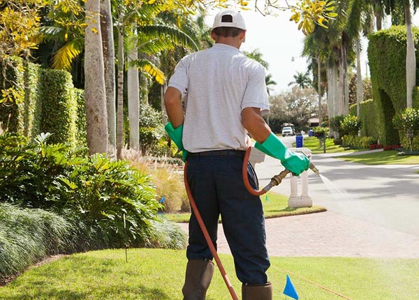 About East Meadow NY Pest Control